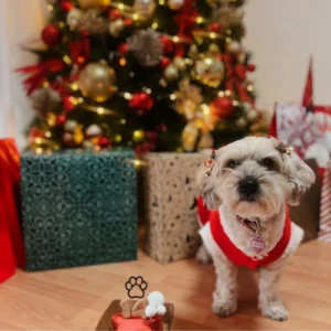 Perra junto a su tarta delante del árbol de navidad y los regalos